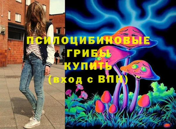 дурь Саяногорск