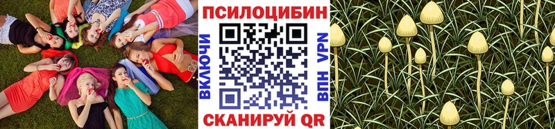 Галлюциногенные грибы ЛСД  Купить где  Свирск 